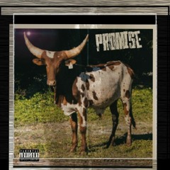 Promise w/lucidthereal &Leon keed.mp3