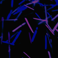 nitelife