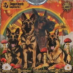 Ivanstein - Breaks My Heart