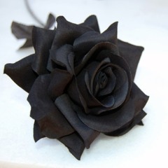 margo's roses, your heart is a black hole that's killing you from the inside out