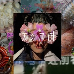 天の邪仔  ft.ナースロボ_タイプt