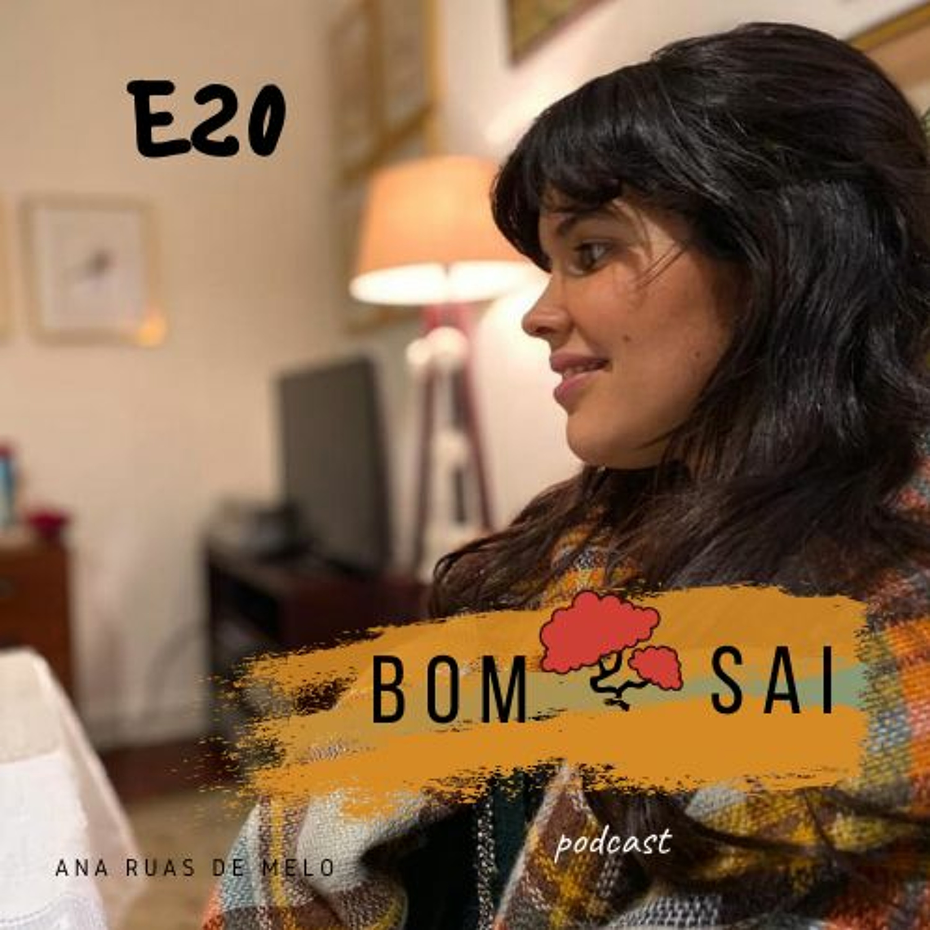 Episódio 20 - Uma pausa em tempos de pandemia
