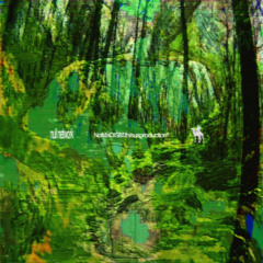 null network III - slow life