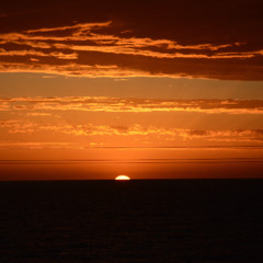 Chthulucene / R A S H (13.12.25)