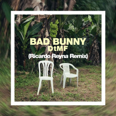 Debi tirar mas fotos (Ricardo Reyna Remix) Free Download