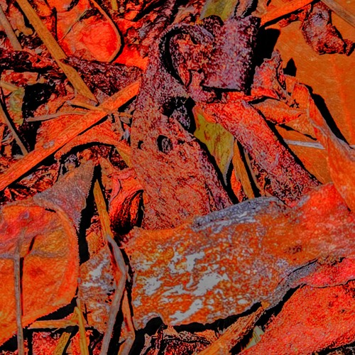 Silly√¥¢%©™©ancecore.m4a