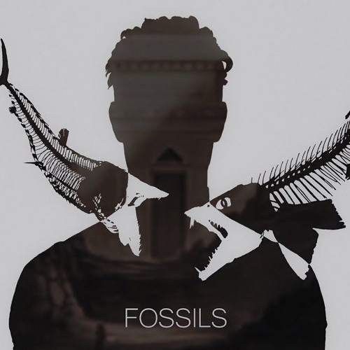 Fossils (WIP) - Hayden