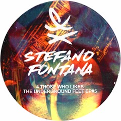 Stefano Fontana - Party Going On (Original Mix) [Beatraxx Records] [MI4L.com]