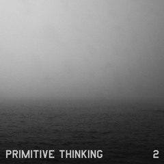 Primitive Thinking 2