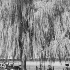 5:30 AM vom Kotti laufen weil die BVG Streikt