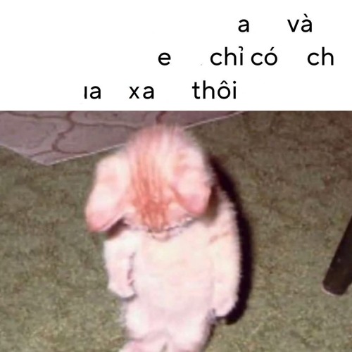ᴋʜᴏ̂ɴɢ ᴍᴜᴏ̂́ɴ ǫᴜᴇ̂ɴ ᴇᴍ