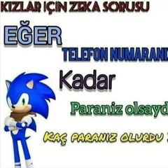 şaibeli