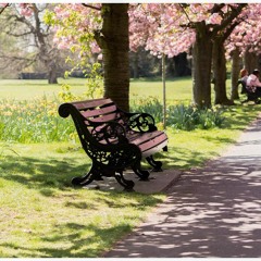 もしも、君のことが好きになったら