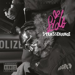 Bergab Remix (feat. B-Tight, Kitty Kat, Alpa Gun & G-Hot)
