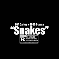 4800 Osama X FGA Calway - Snakes