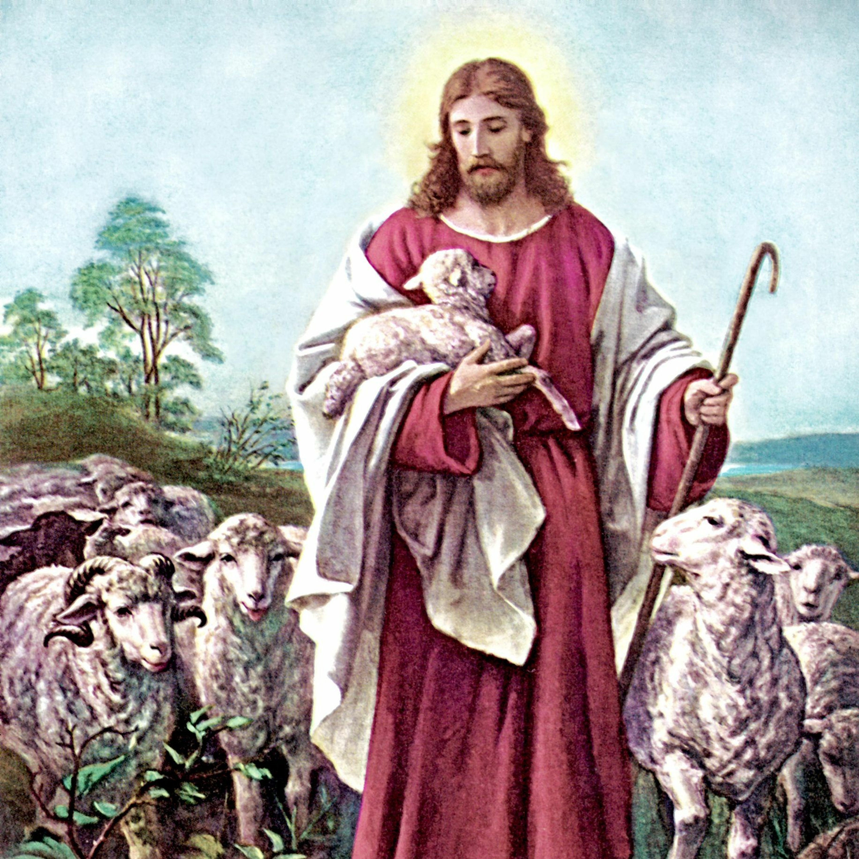 What is Jesus Telling Us on Good Shepherd Sunday? How Should that Influence Our Spiritual Life? episode artwork