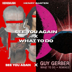 See You Again X What To Do - Henry Basten Mashup