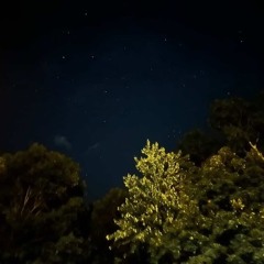 All Night (prod. RTB BEATS ll)