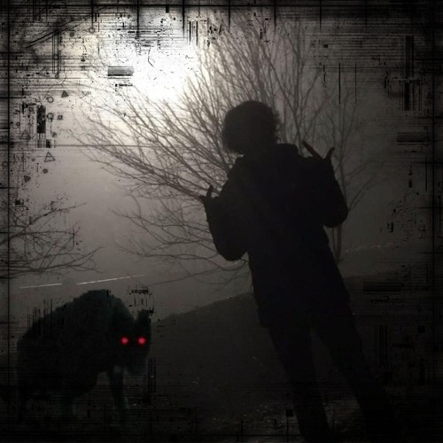 Hoia Baciu Mixtape