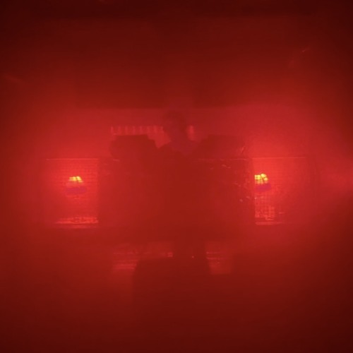 Singularity (Fossil Archive 7.9.25)