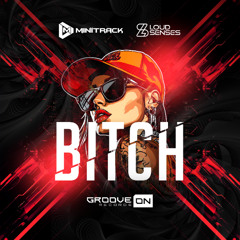 Minitrack, Loud Senses - Bitch (Original Mix)