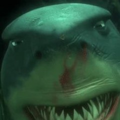 ロック・リーFinding Nemo"Its In My Nature.BRUCE"@MaijrScale@TheYYYSyndicate@TVHBTL@YSL@OWS@GYB