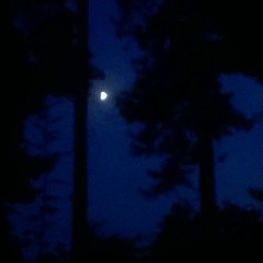 Ambient 14