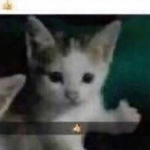 don toliver smooth talka