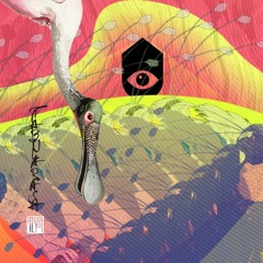 Phil Smart @ Casa Rasa - Birds of Paradise I Feb 2020