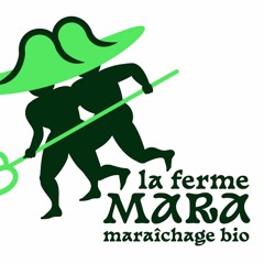 Chez MARA - E4 - Relation Aux Outils (attention problèmes de sons)