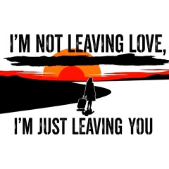 I'm not leaving love, I'm just leaving you