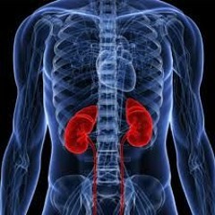 Bad Kidneys