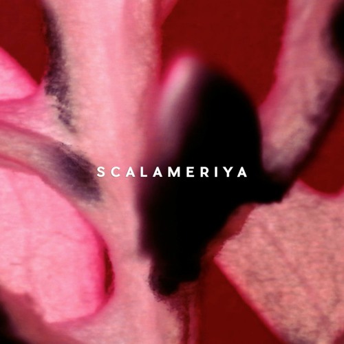 Scalameriya - Perc Trax | Intercell October Series