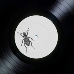 Hugo Harcourt - This Is A Beetle