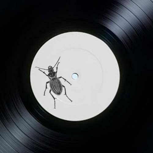 Hugo Harcourt - This Is A Beetle