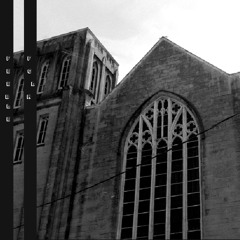 and yet shew I unto you a more excellent way.