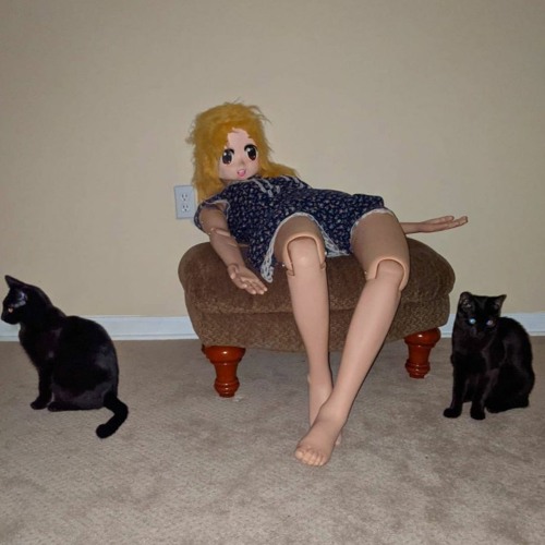 ༑༑۞۞✹༒✹۞۞༑༑