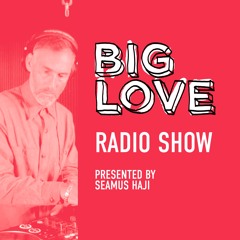 Big Love Radio Show – December 2024 - Live from the Defected Basement