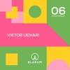 E 6: VIKTOR UDVARI AKA CAPEESH SOCIETY LIVE @ CITADELLA BUDAPEST DJ mix artwork - Electronic music tracklist cover image