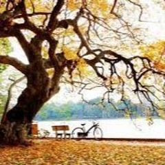 Bước Qua Mùa Cô Đơn