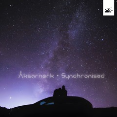 Synchronised (Dreamer Records)