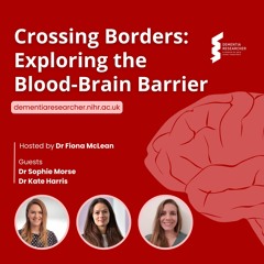 Crossing Borders: Exploring the Blood-Brain Barrier