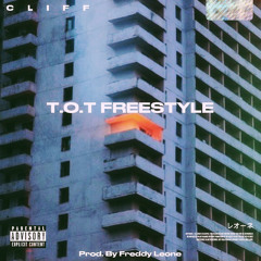 T.O.T FREESTYLE - (prod. Freddy Leone)