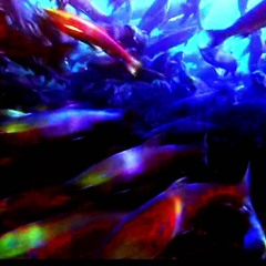 waterdrop 2 ft big m 2022