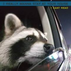 I Really Want To Stay At Your House