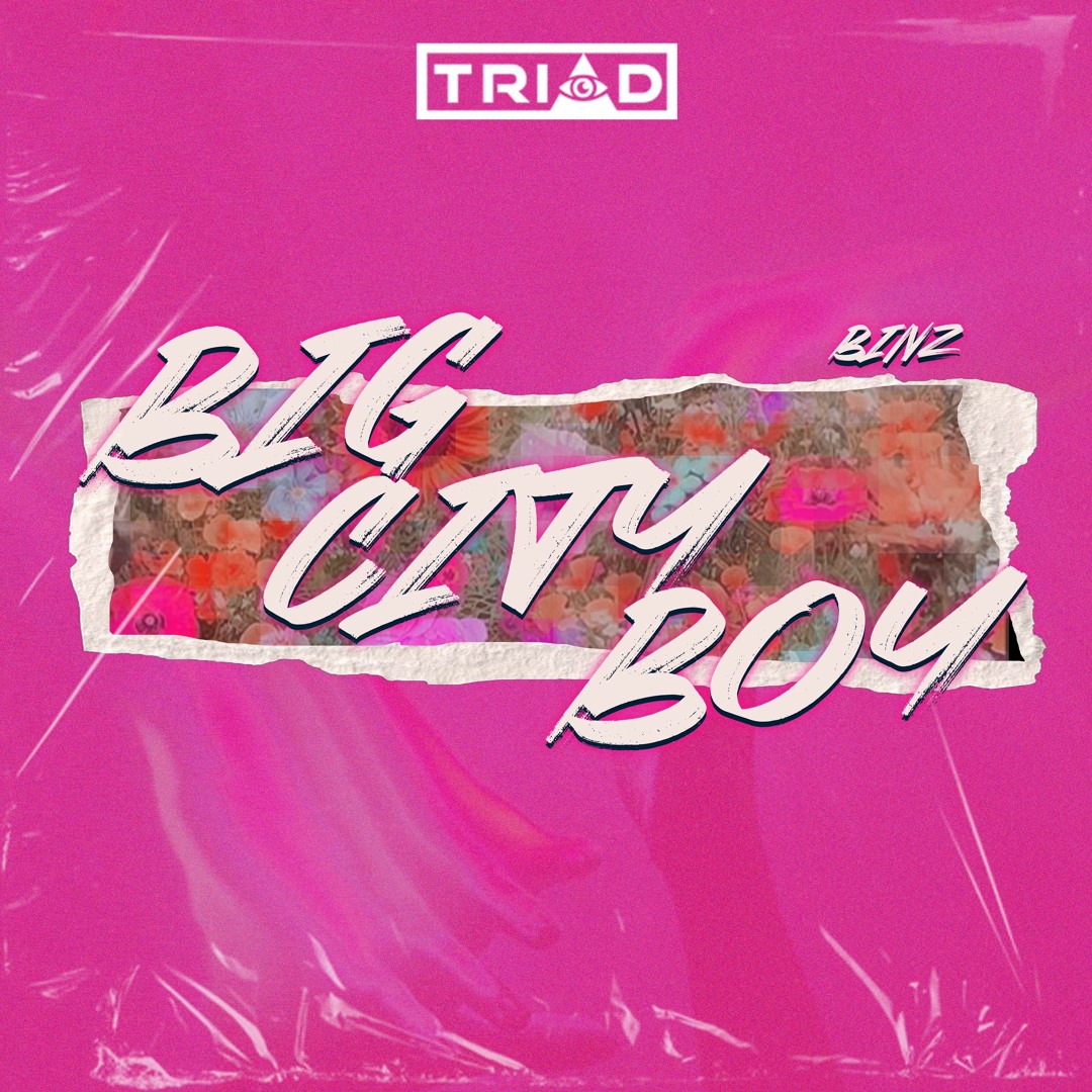 Stream BINZ - BIG CITY BOY | TRIAD REMIX by TRIAD OFFICIAL