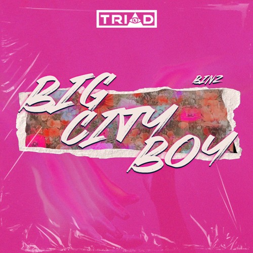 BINZ - BIG CITY BOY | TRIAD REMIX