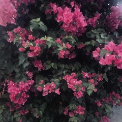 roadtrip w/ xxidex (mingus)