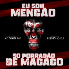 EU SOU MENGÃO (((SELMINHO DJ)) MC NEGO BIG