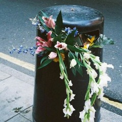 sofia - clairo (cover)